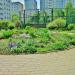 Клумба в городе Красногорск