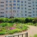 Клумба в городе Красногорск
