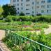 Клумба в городе Красногорск