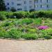Клумба в городе Красногорск
