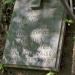 Надгробная плита на могиле П.С.Тюрина