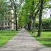Kronvalda park in Riga city