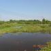Водоём в городе Псков