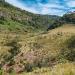 Плато Хортона (Horton Plains)