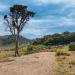 Плато Хортона (Horton Plains)