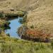 Плато Хортона (Horton Plains)