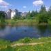 Пруд в городе Гатчина