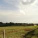 Aerocamp - Clube de Aeromodelismo de Campinas