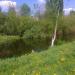 Болото в городе Гатчина