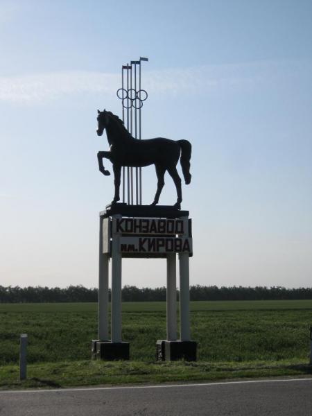 Памятник коню чемпиону по кличке Пепел image 9