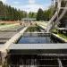 Catskill Fish Hatchery