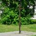 Поклонный крест в городе Рязань
