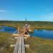 Footbridge along big Kemeri bog