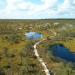 Footbridge along big Kemeri bog