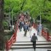 Dazaifu Tenman-gu