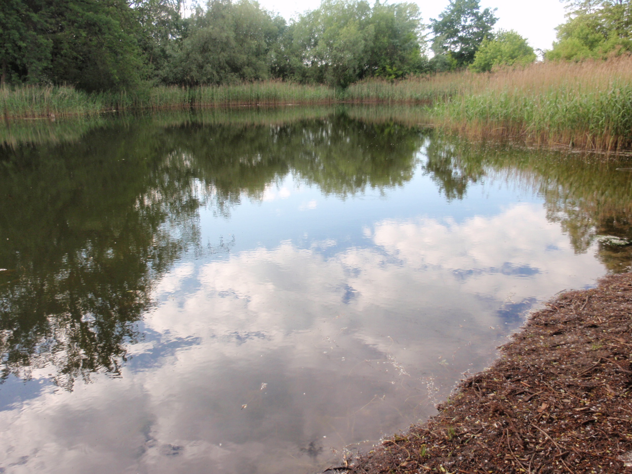 See Klein Ahlbeck