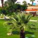 The green territory..... (en) في ميدنة الغردقة    