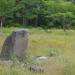 Поляна с камнями в городе Комсомольск-на-Амуре
