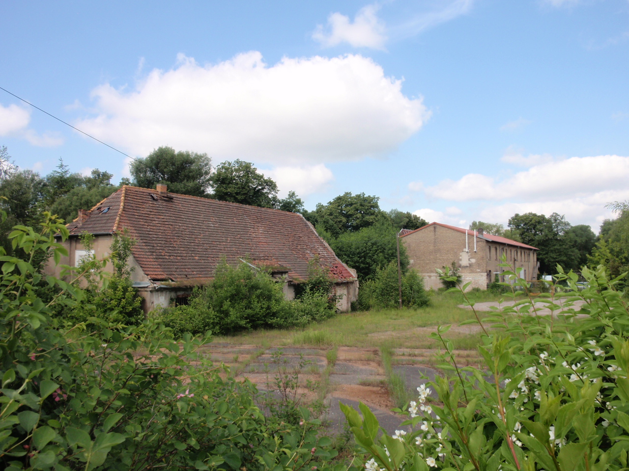 Ruine historisch