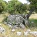 Dolmen of Su Laccu