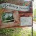 Дубовая роща в городе Чебоксары