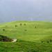 Roopkund Trail (Ali Bugyaal to Roopkund)