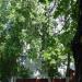 Bolotnikovskaya ulitsa, 46 корпус 1 in Moscow city