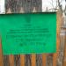 Дуб звичайний в місті Богородчани