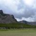 National Park Meadow - Madison River