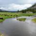 National Park Meadow - Madison River