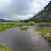 National Park Meadow - Madison River