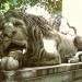 Скульптури левів в місті Львів