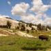 Mammoth Horse Corrals & Trails