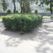 Клумба в городе Павловский Посад