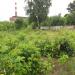 Бывший пустырь в городе Павловский Посад