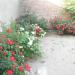 hamid nwaz...chandi waly in Pindi Gheb city