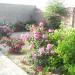 hamid nwaz...chandi waly in Pindi Gheb city
