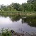 Пруд СПЗ в городе Саратов