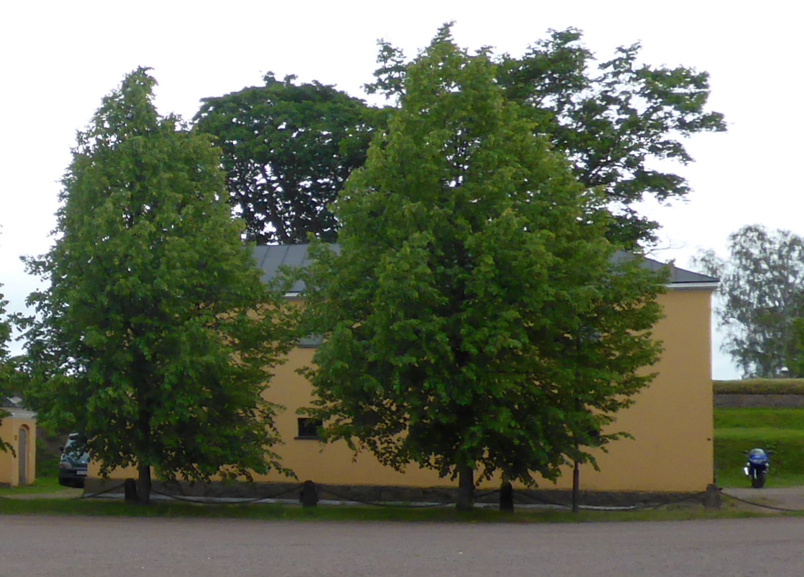 Kadettikoulunkatu, 6 - Hamina (Town)
