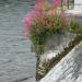 Weir in Galway city