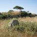 Nuraghe Boes