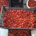 new wegitable market and frute market