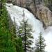Upper Yellowstone Falls
