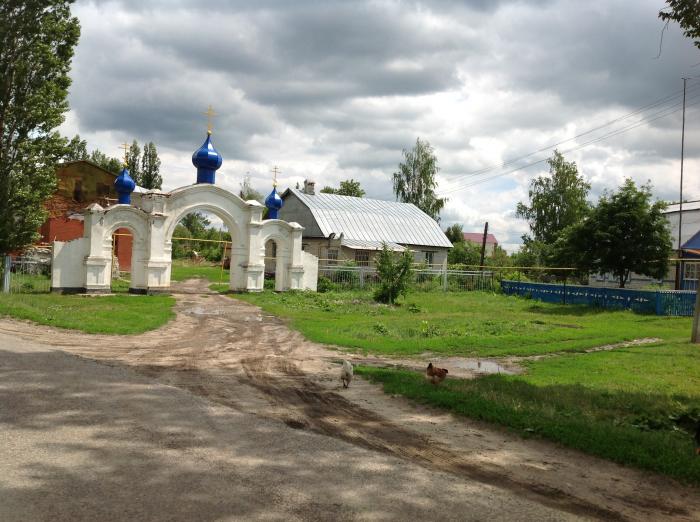 Церковь Покрова Пресвятой Богородицы в Горскино