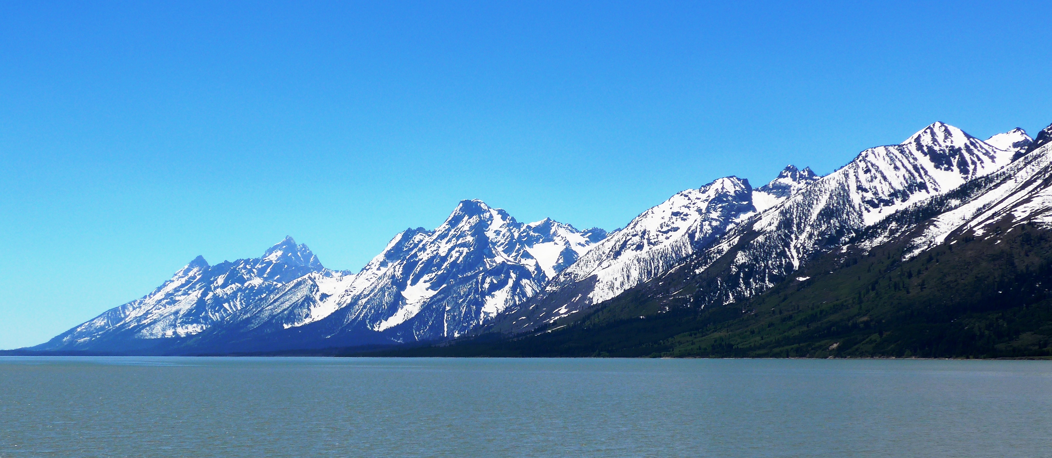 Jackson Lake Overlook