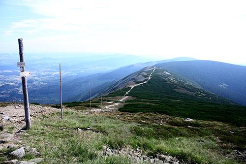 Czarny Grzbiet