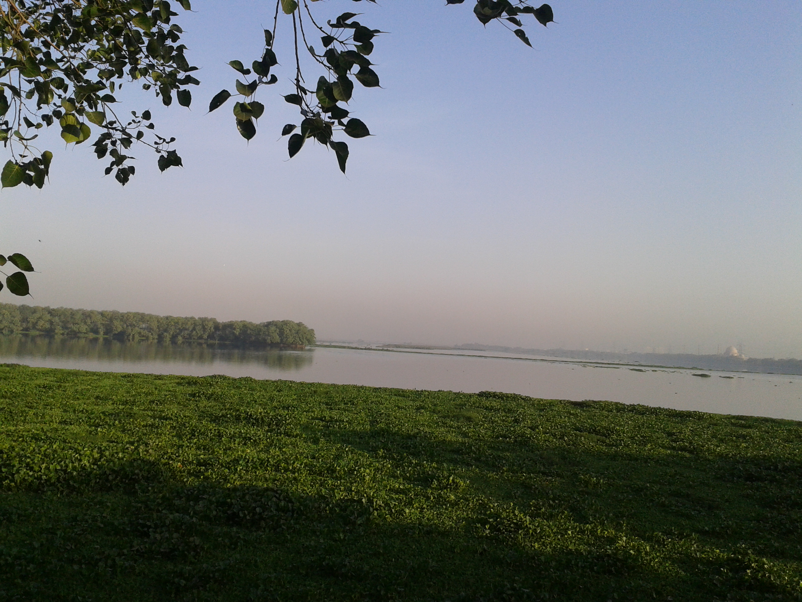 okhla-barrage-road-bridge-delhi