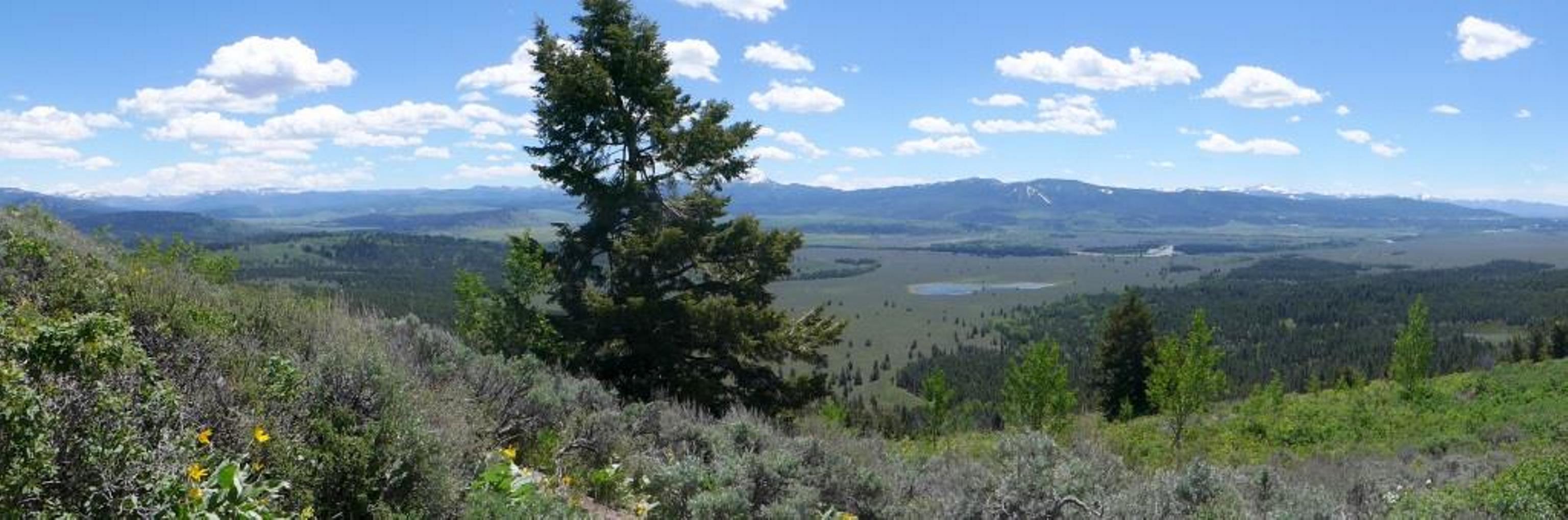 Jackson Point Overlook