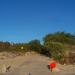 Wejście na plażę in Rowy city