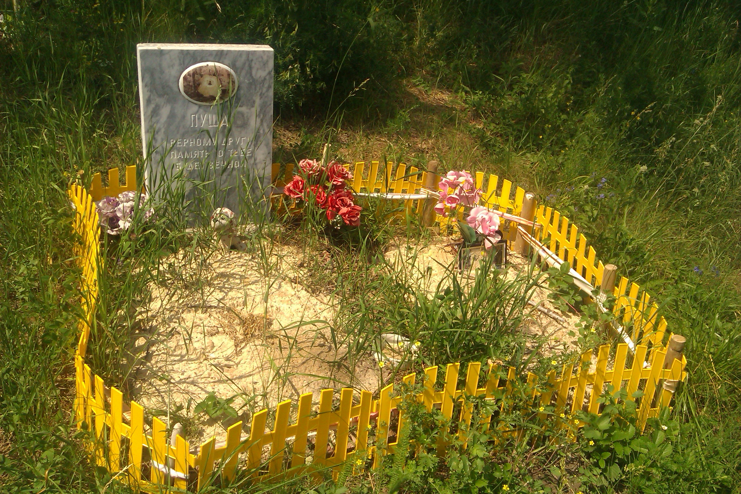 Кладбище животных Челябинск